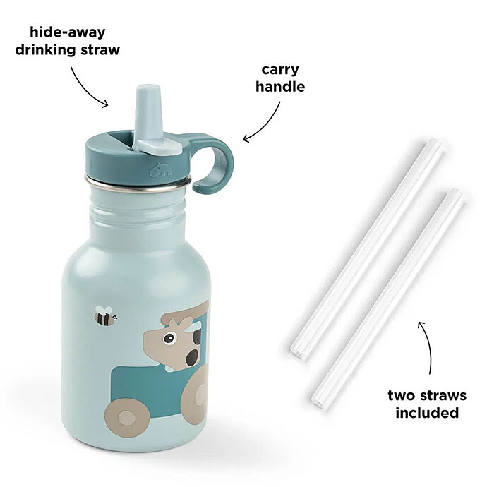 Avis Gourde Inox Tiny Farm Bleu - 350 ml 