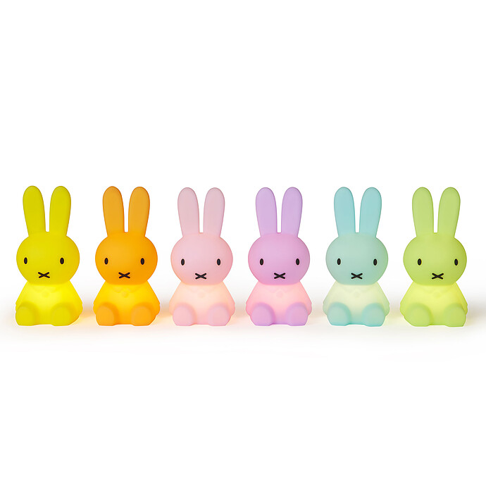 Miffy Bundle of Light - Colorful Mr Maria