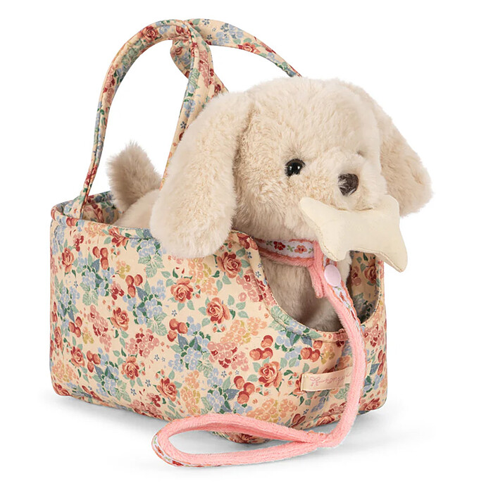 Chiot Aiko - Vienna Konges Sløjd