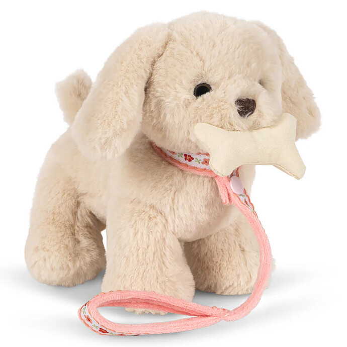 Chiot Aiko - Vienna Konges Sløjd