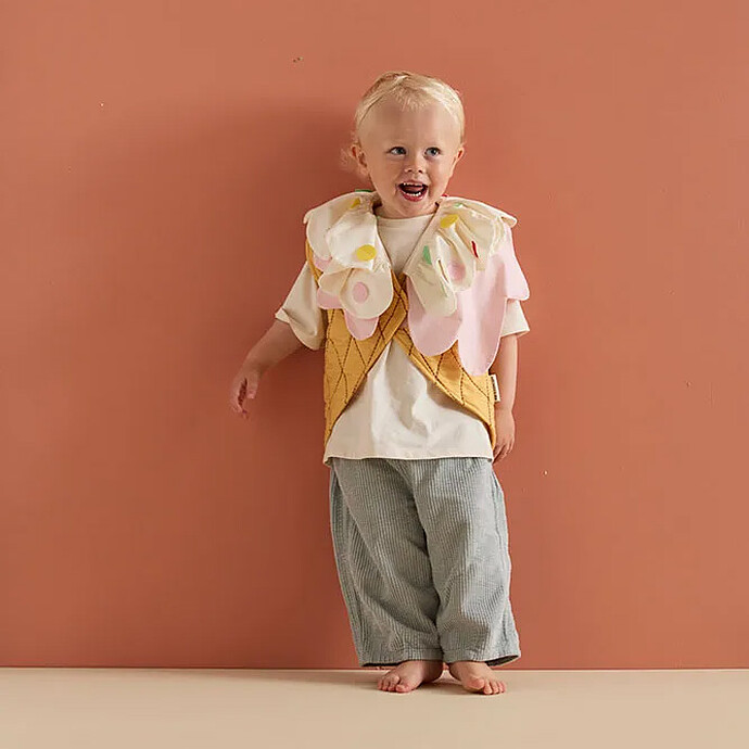 Avis Déguisement Glace