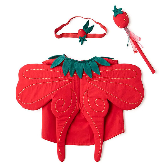 Déguisement Fée des Fraises Kid's Concept