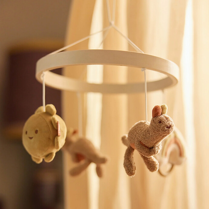 Avis Mobile - Kangaroots