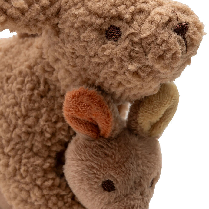 Achat Jouet d'Activités Kangaroots