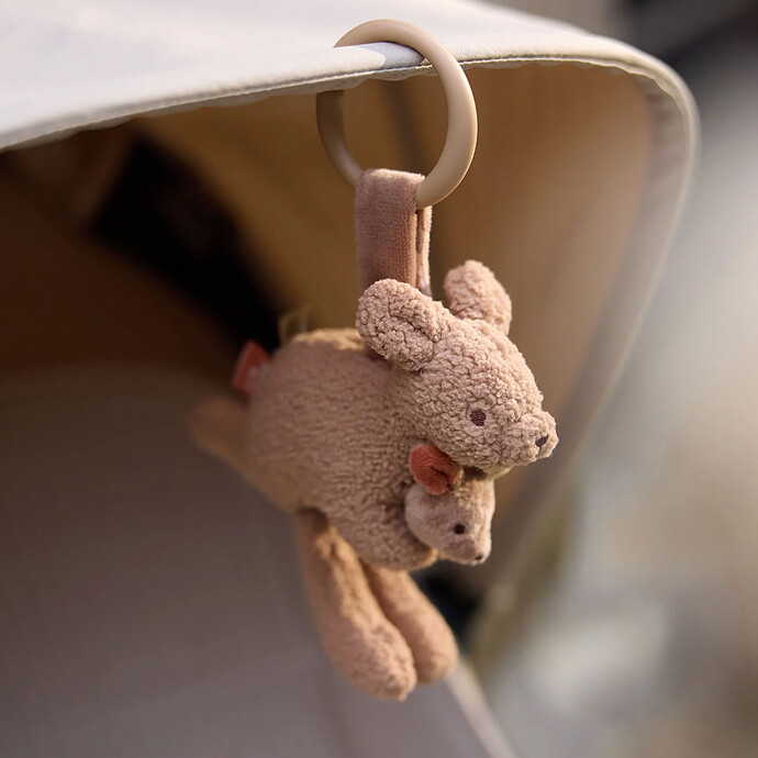 Avis Jouet d'Activités Kangaroots