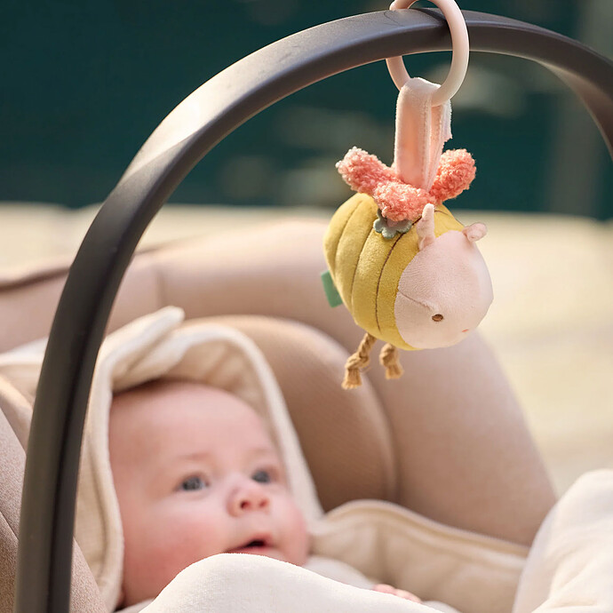 Avis Jouet d'Activités Bee -  Pretty Picnic 