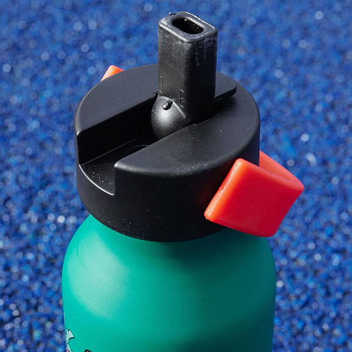 Gourde Disco Roar - 350 ml pas cher