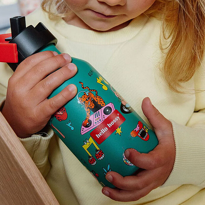 Avis Gourde Disco Roar - 350 ml