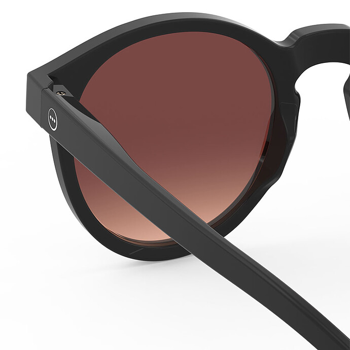 Achat Lunettes de Soleil Adulte #M - Black Road