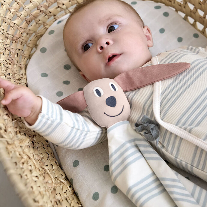 Avis Doudou Tiny Team - Chien