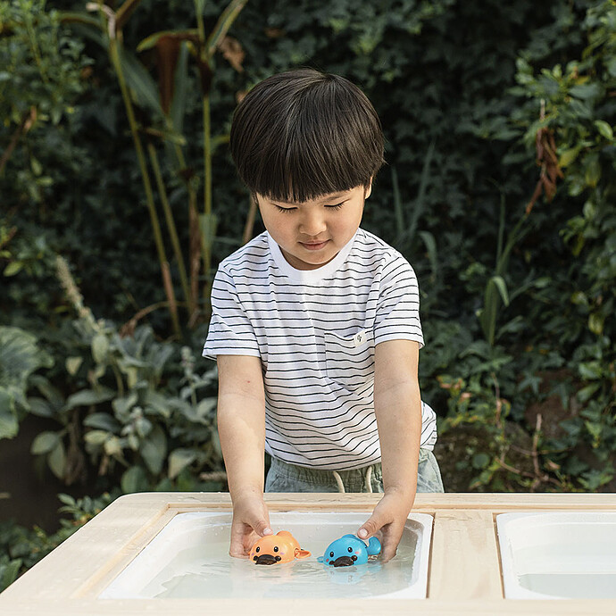 Avis Lot de 2 Ornithorynques de Bain Nageurs