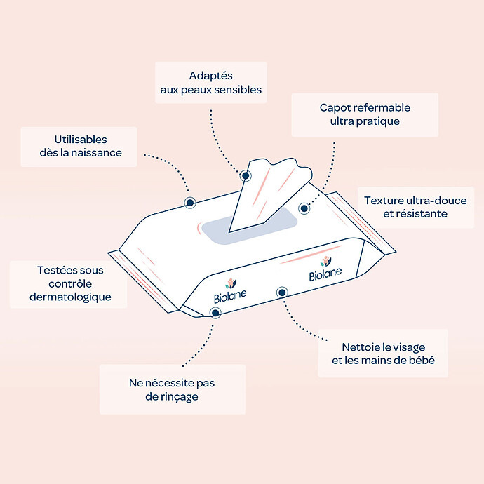 Achat Paquet de 64 Lingettes Visage et Mains