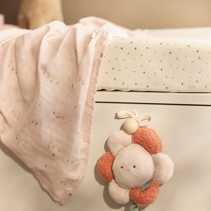 Avis Lot de 2 Langes Gaze de Coton - Pretty Picnic