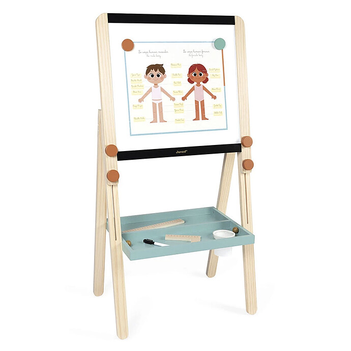 Tableau de la Maîtresse  Janod