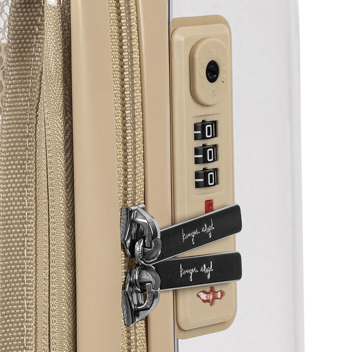 Avis Valise Transparente - Cherry