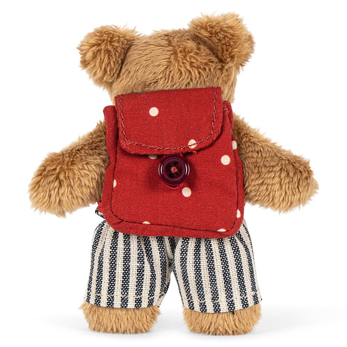 Achat Petit Ours va à l'Ecole