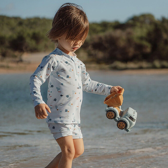 Avis Camion Benne - Ocean Dreams Blue