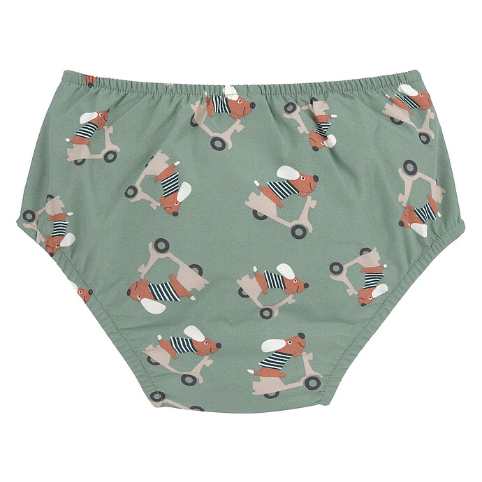 Avis Maillot de Bain Couche Scooter Chien Vert - 3/6 Mois