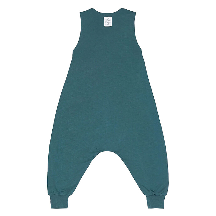 Avis Combinaison pour Dormir Chien Bleu Vert - 4/6 Ans