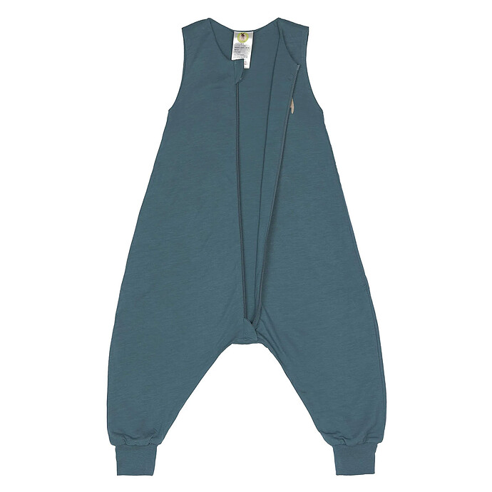 Combinaison pour Dormir Chien Bleu Vert - 2/4 Ans LÄSSIG