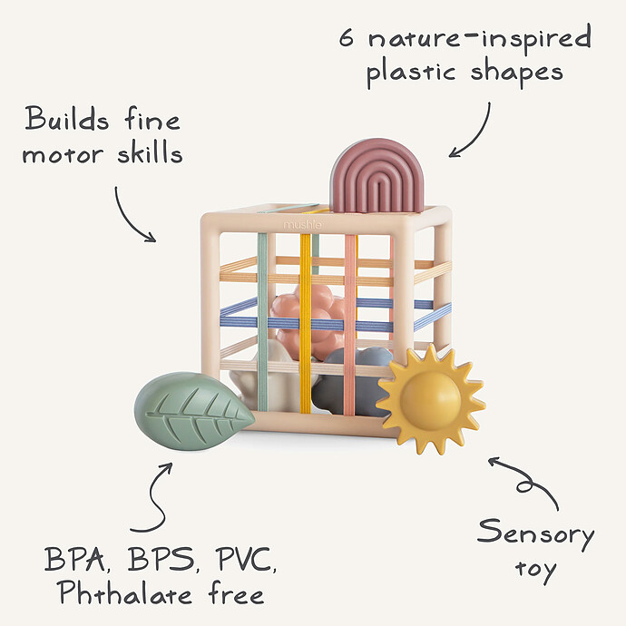 Boîte à Formes avec Elastiques pas cher
