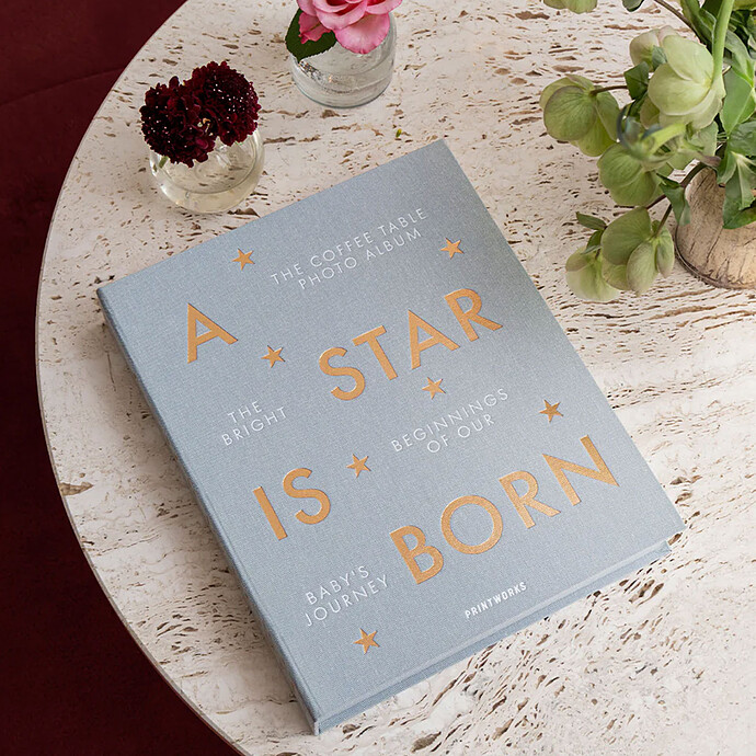 Baby Album - A Star Is Born pas cher