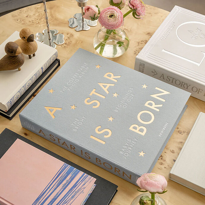 Avis Baby Album - A Star Is Born