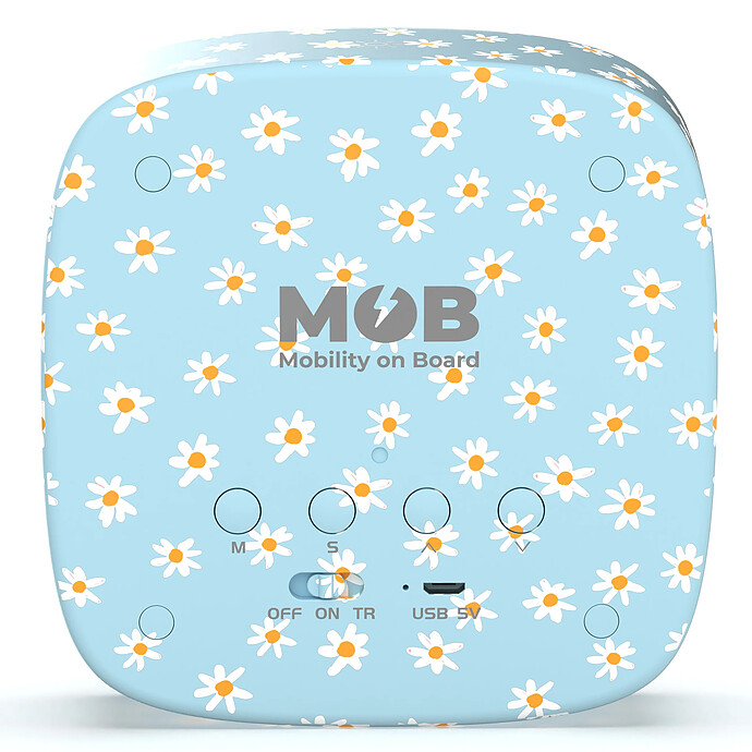 Avis Réveil Veilleuse Billy - Blue Flower