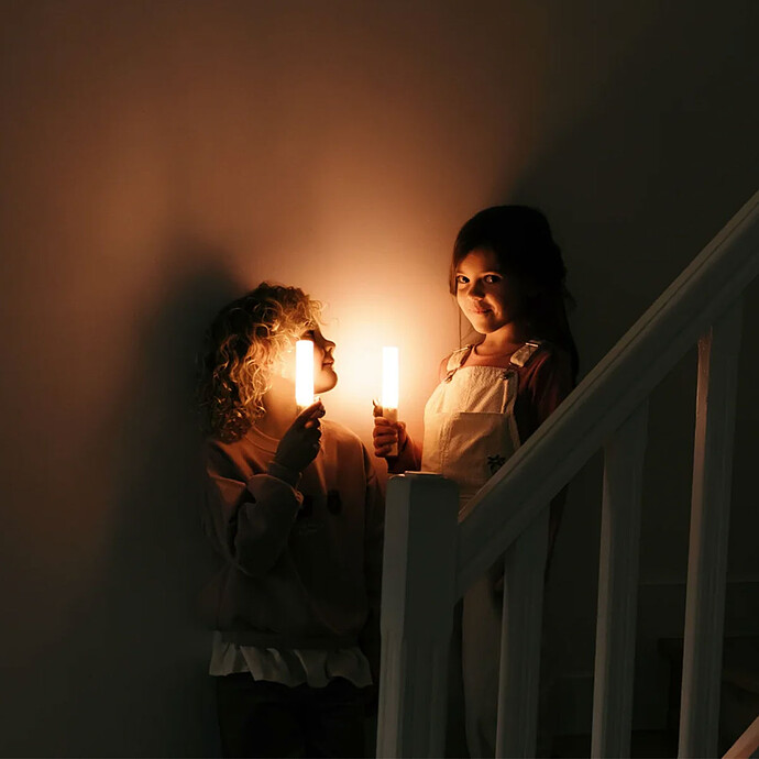 Lampe Torche Zoo Light - Renne pas cher