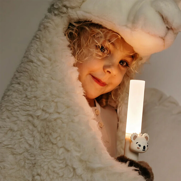 Achat Lampe Torche Zoo Light - Koala