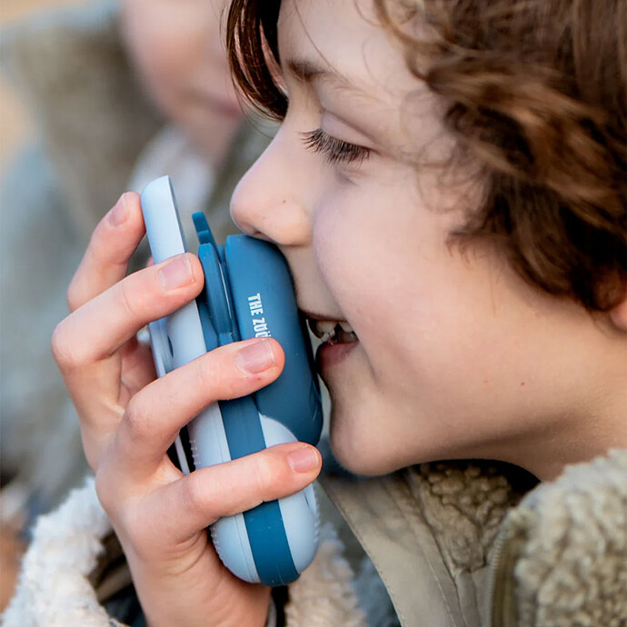 Avis Lot de 2 Talkie-walkie - Raton Laveur