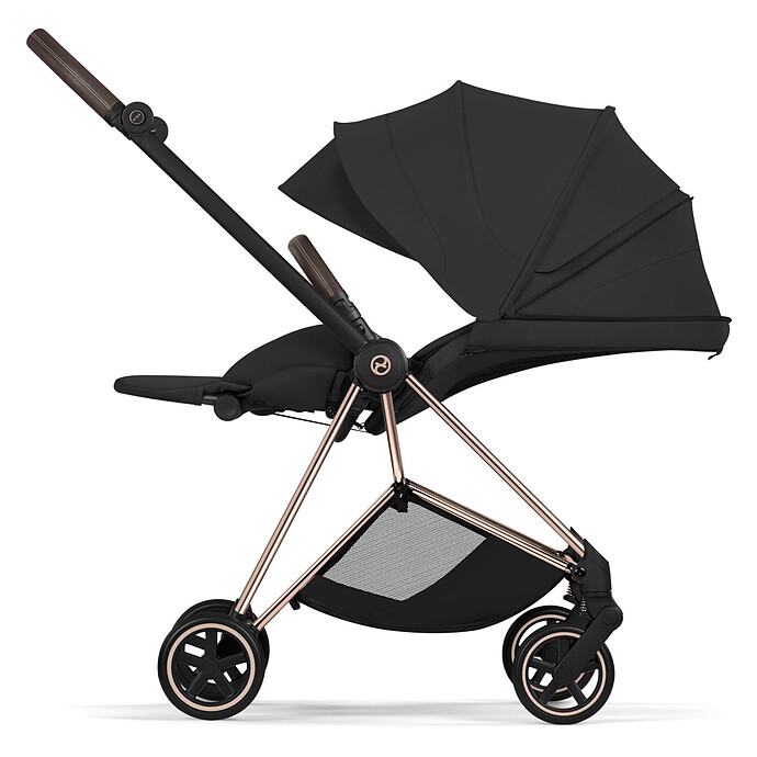 Assise Mios 2026 - Sepia Black Cybex