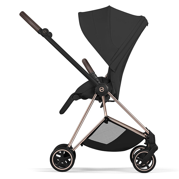 Avis Assise Mios 2026 - Sepia Black