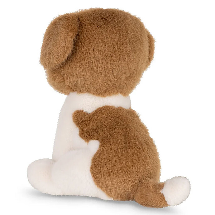 Avis Herman le Saint-Bernard