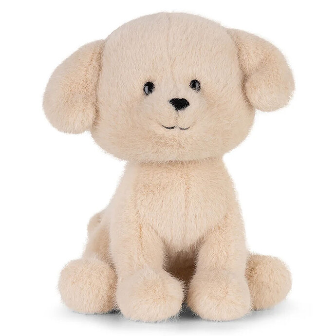 Loulou le Labrador B.T. Chaps