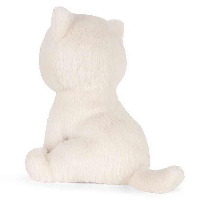 Avis Dolly le Ragdoll