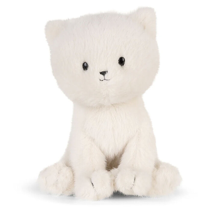 Dolly le Ragdoll B.T. Chaps
