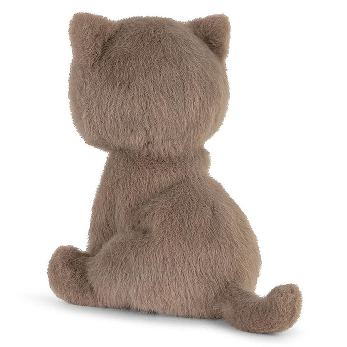 Avis Freddy le British Shorthair avec Boîte Cadeau