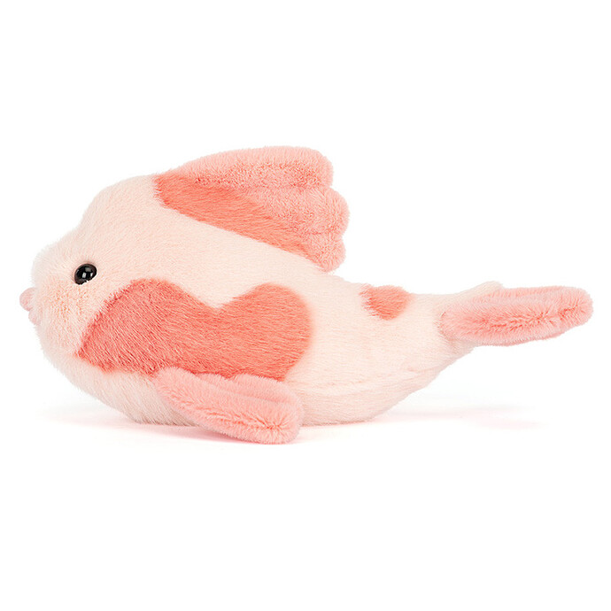 Avis Fancy Carp
