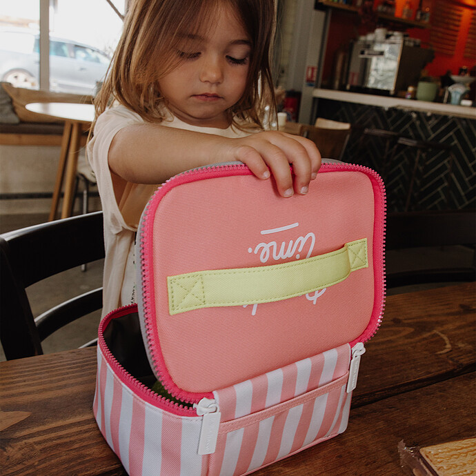 Avis Lunch Bag - Pink Stripes