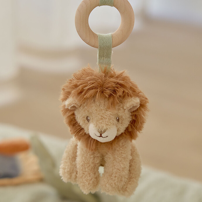 Arche d'Eveil en Bois - Safari Friends pas cher