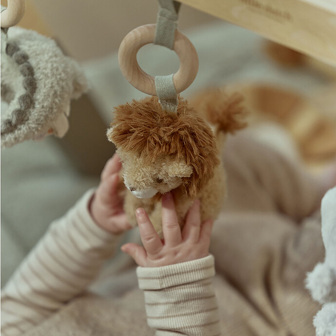 Arche d'Eveil en Bois - Safari Friends Little Dutch