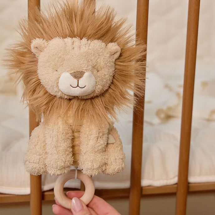 Boîte à Musique Lion - Safari Friends Little Dutch
