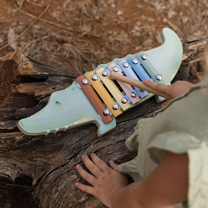 Avis Xylophone Crocodile - Safari Friends