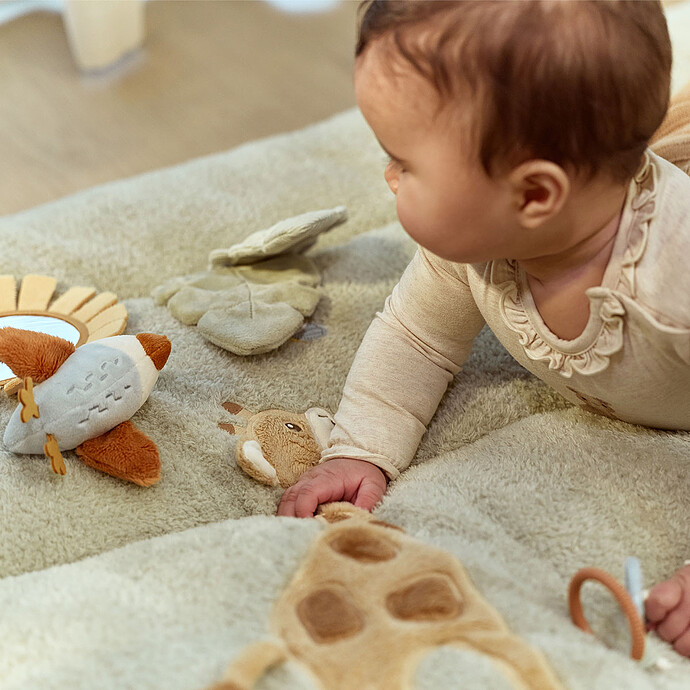 Achat Tapis de Parc - Safari Friends