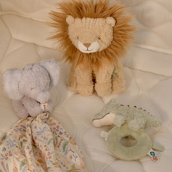 Achat Coffret Cadeau - Safari Friends