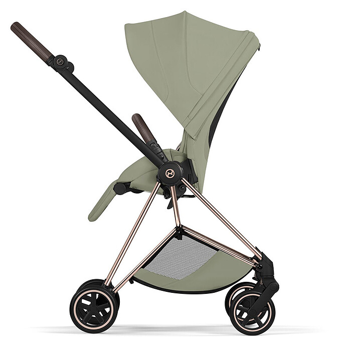 Avis Assise Mios 2026 - Sage Green