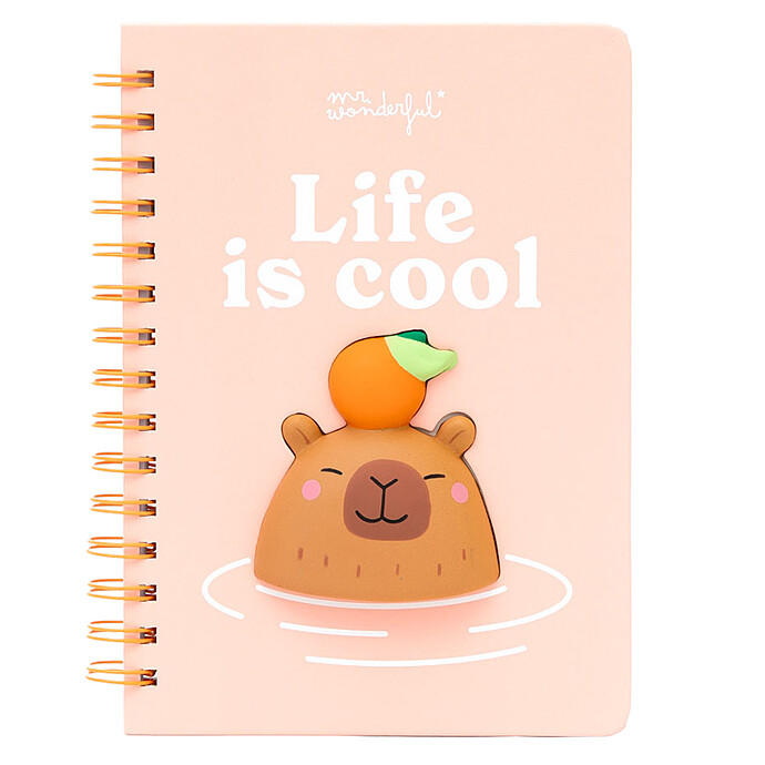 Cahier A5 - Capybara Lisfe Is Cool Mr Wonderful