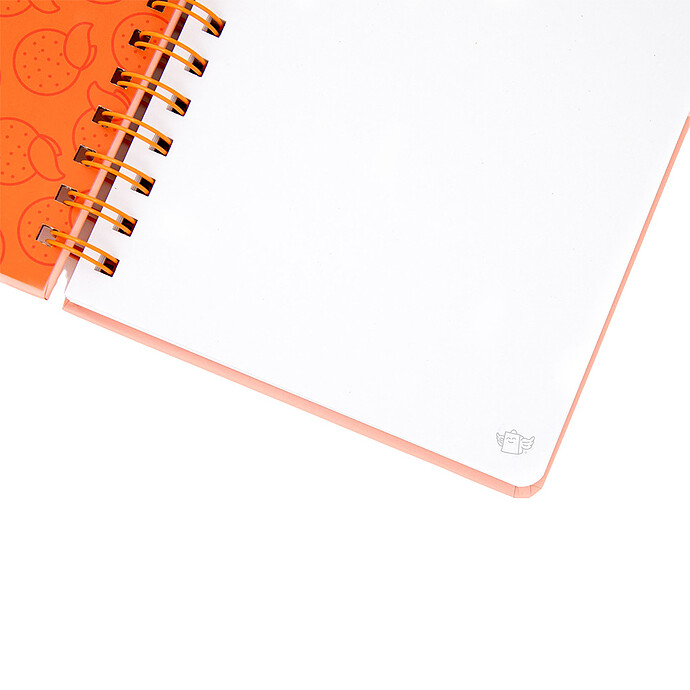 Cahier A5 - Capybara Lisfe Is Cool Mr Wonderful