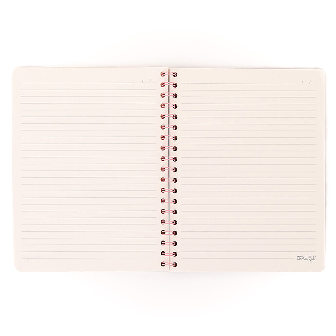 Carnet A5 - Mixtape in Progress Mr Wonderful